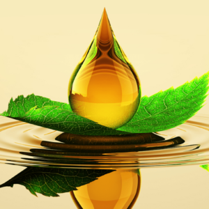 Cooking Oils